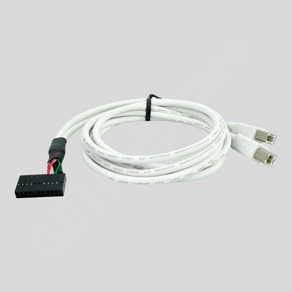 Harness Case Dual USB Y-Cable 2X Internal Harness Case Dual USB Y-Cable 2X Internal